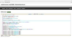 Der CSS Editor